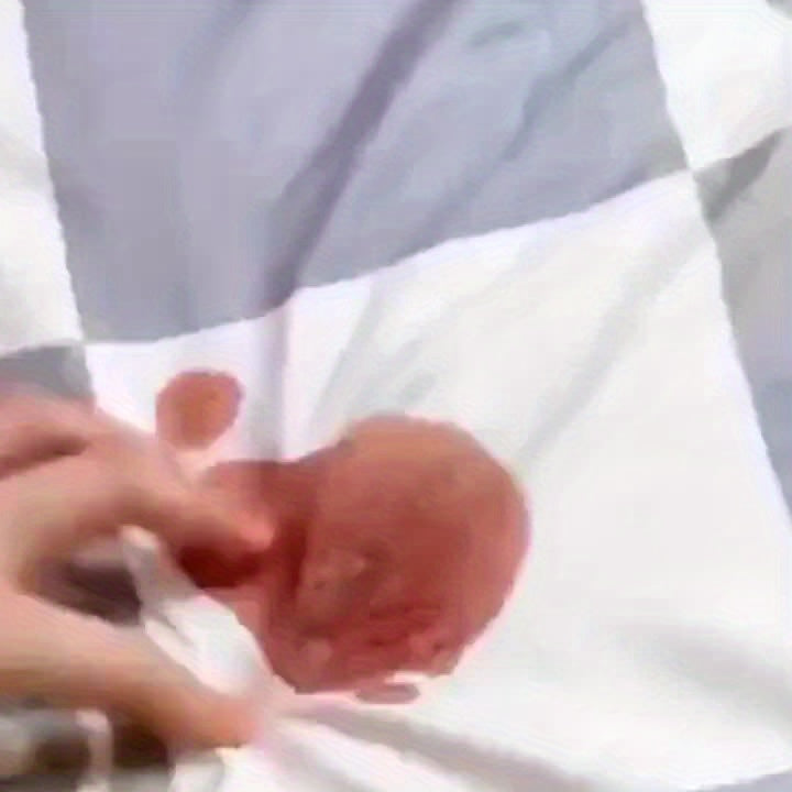 No-rinse foam fabric cleaner for sofas, mattresses, curtains and clothes